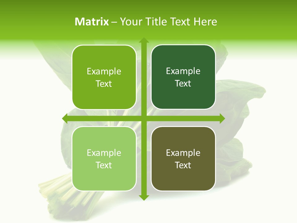 House Conditioner Unit PowerPoint Template
