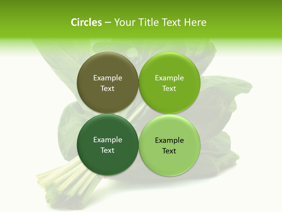 House Conditioner Unit PowerPoint Template