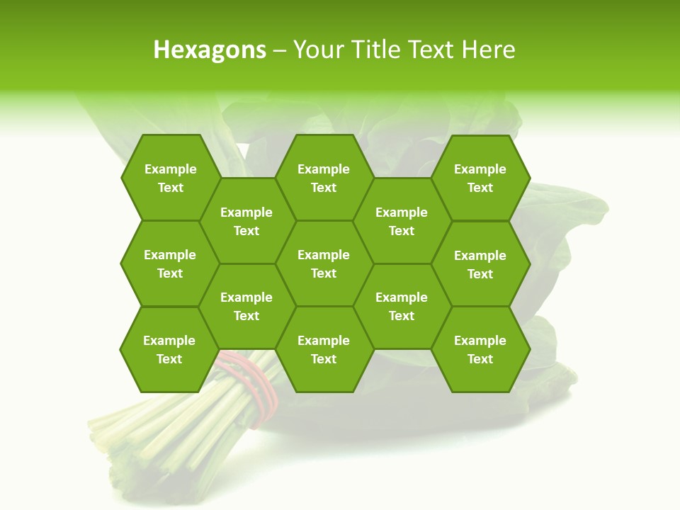 House Conditioner Unit PowerPoint Template