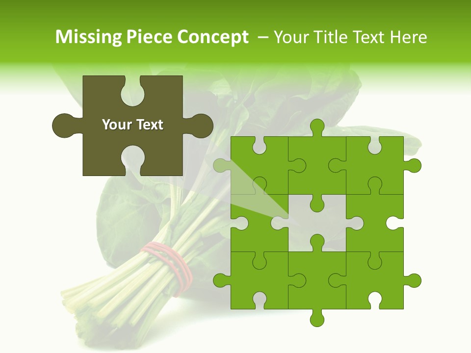 House Conditioner Unit PowerPoint Template