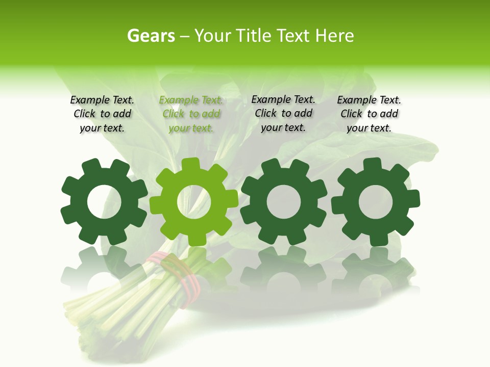 House Conditioner Unit PowerPoint Template