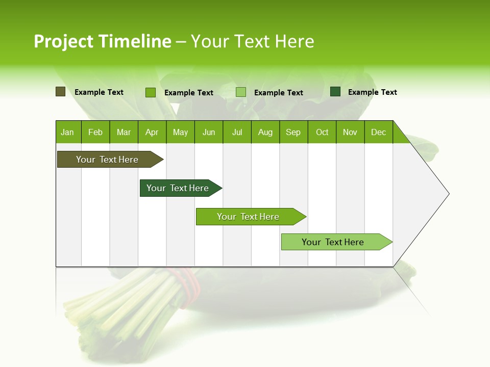 House Conditioner Unit PowerPoint Template