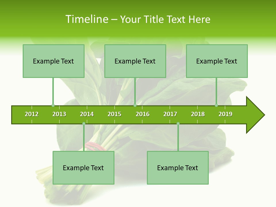 House Conditioner Unit PowerPoint Template