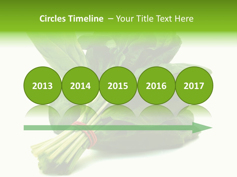 House Conditioner Unit PowerPoint Template