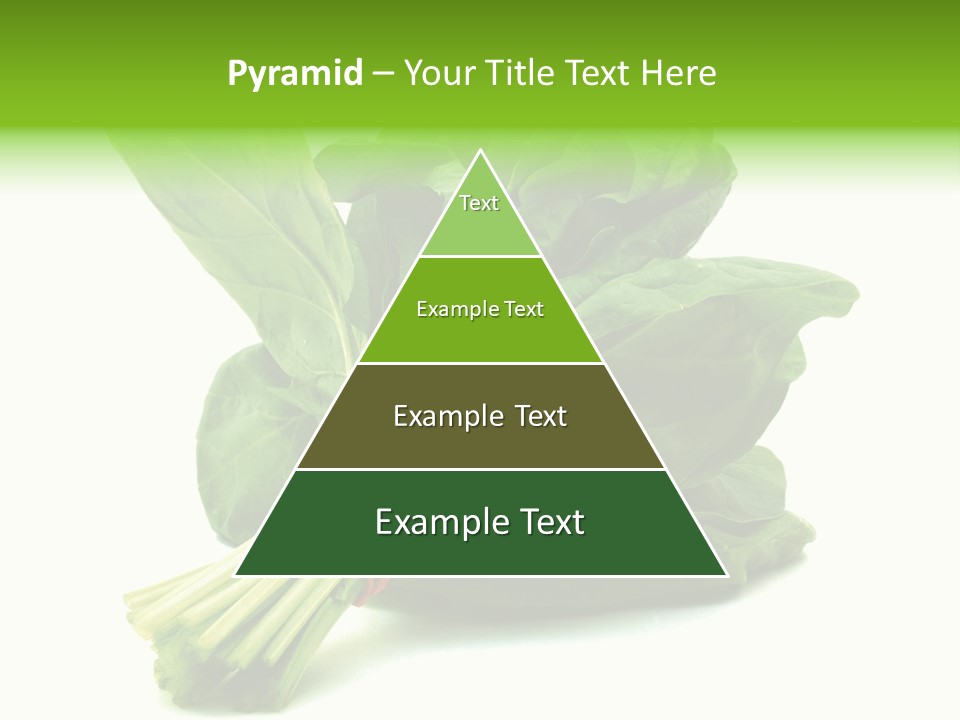 House Conditioner Unit PowerPoint Template