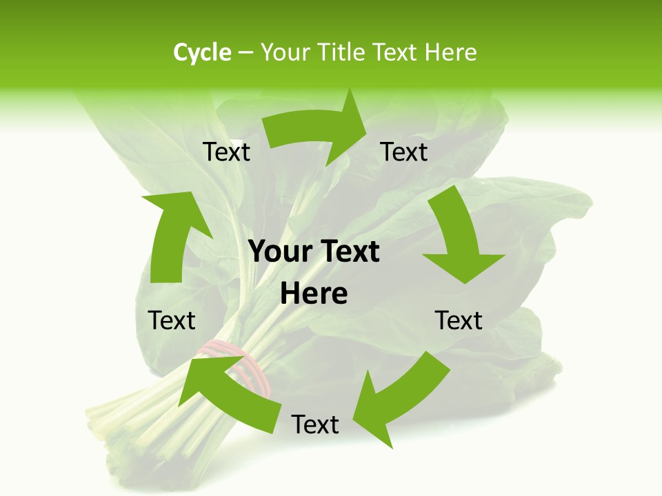 House Conditioner Unit PowerPoint Template