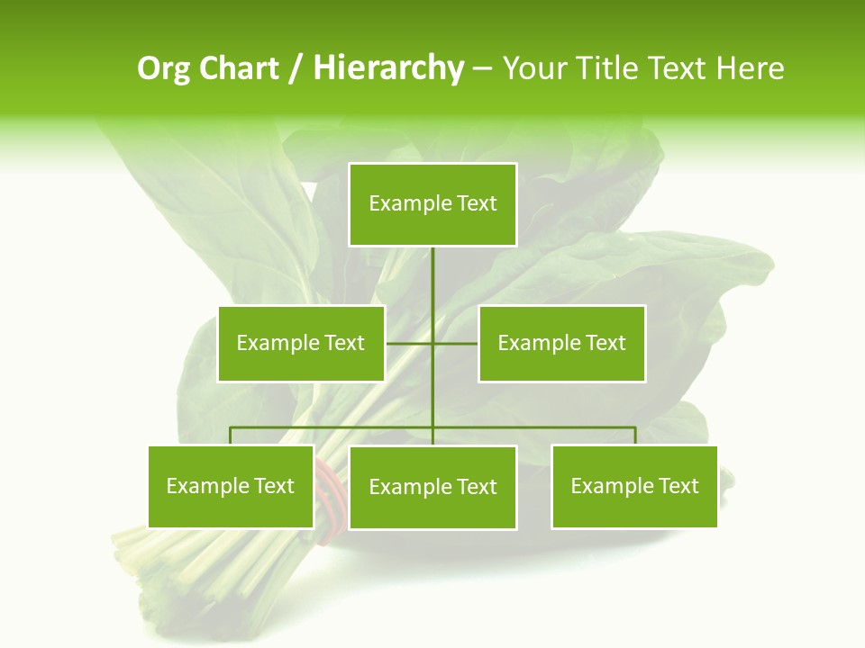 House Conditioner Unit PowerPoint Template