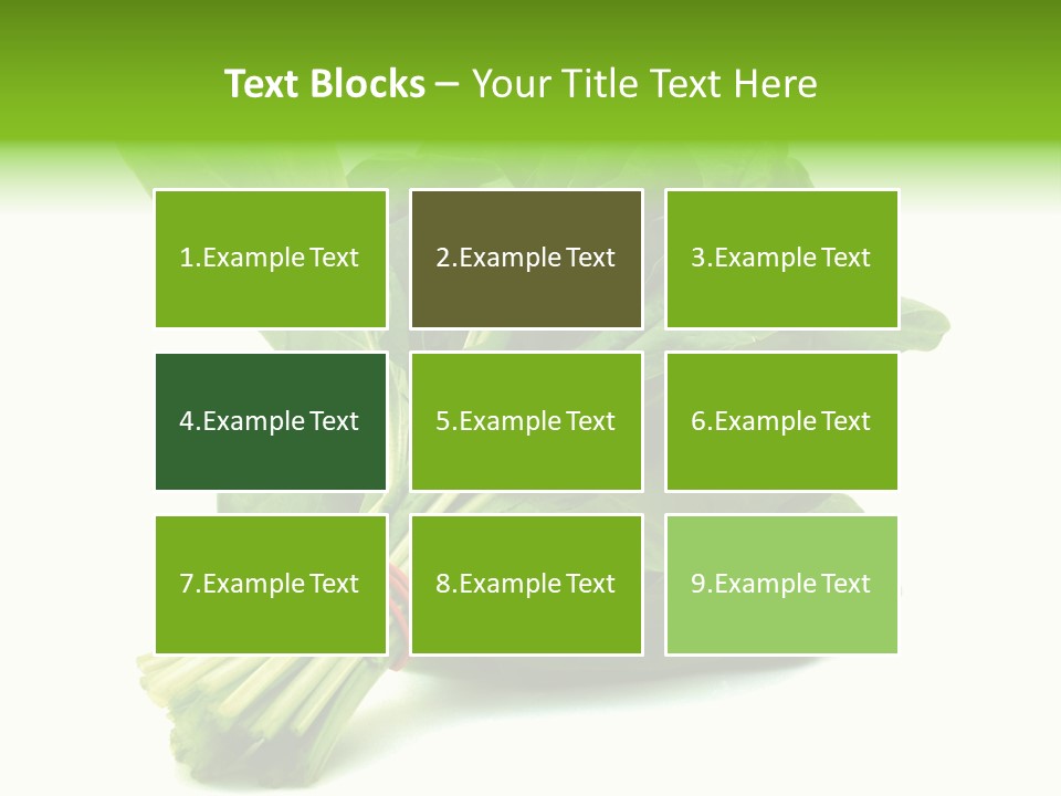 House Conditioner Unit PowerPoint Template
