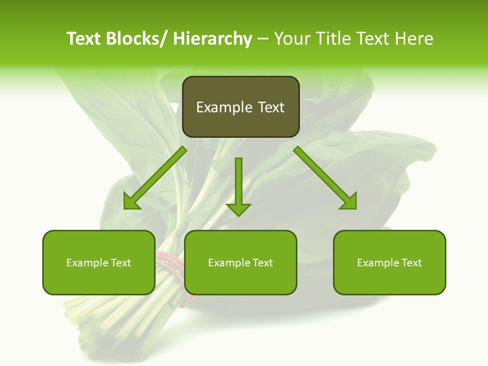 House Conditioner Unit PowerPoint Template