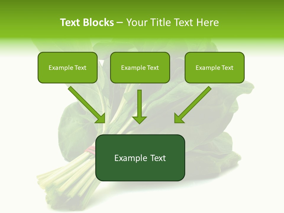 House Conditioner Unit PowerPoint Template