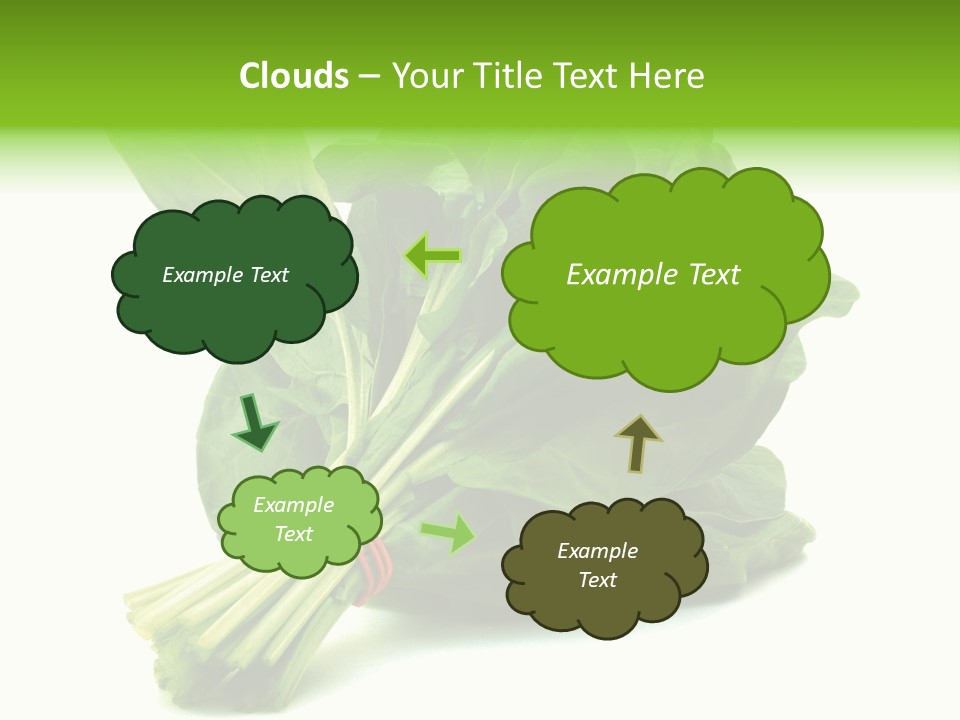 House Conditioner Unit PowerPoint Template