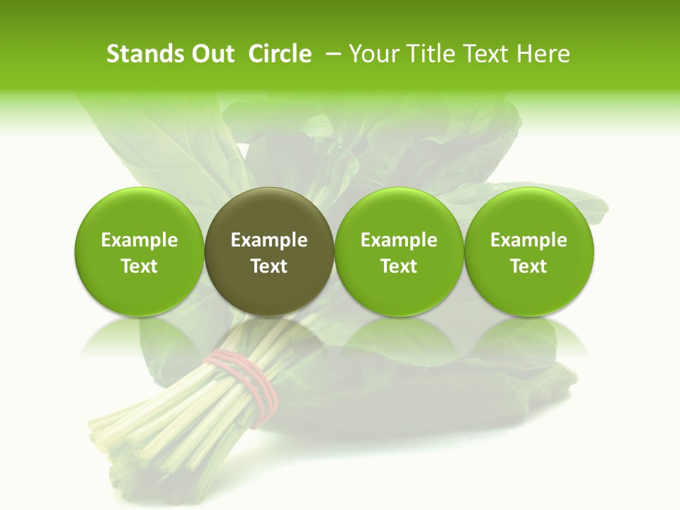 House Conditioner Unit PowerPoint Template