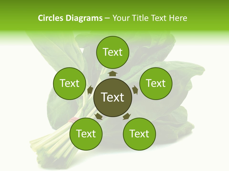 House Conditioner Unit PowerPoint Template