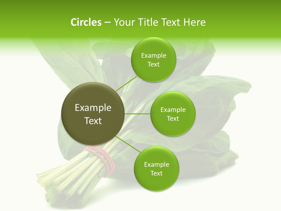 House Conditioner Unit PowerPoint Template