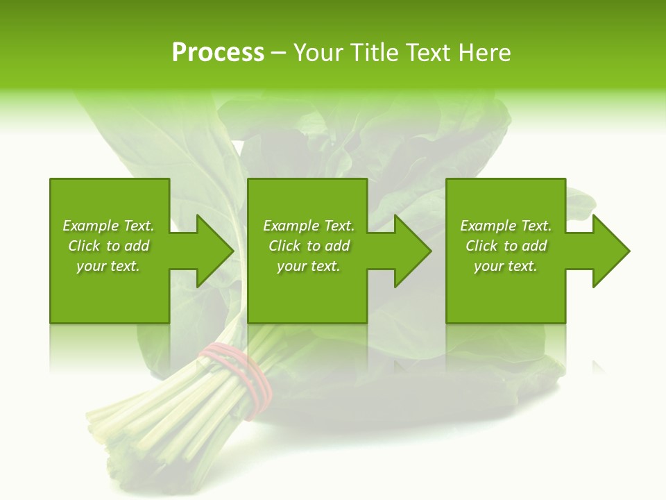 House Conditioner Unit PowerPoint Template