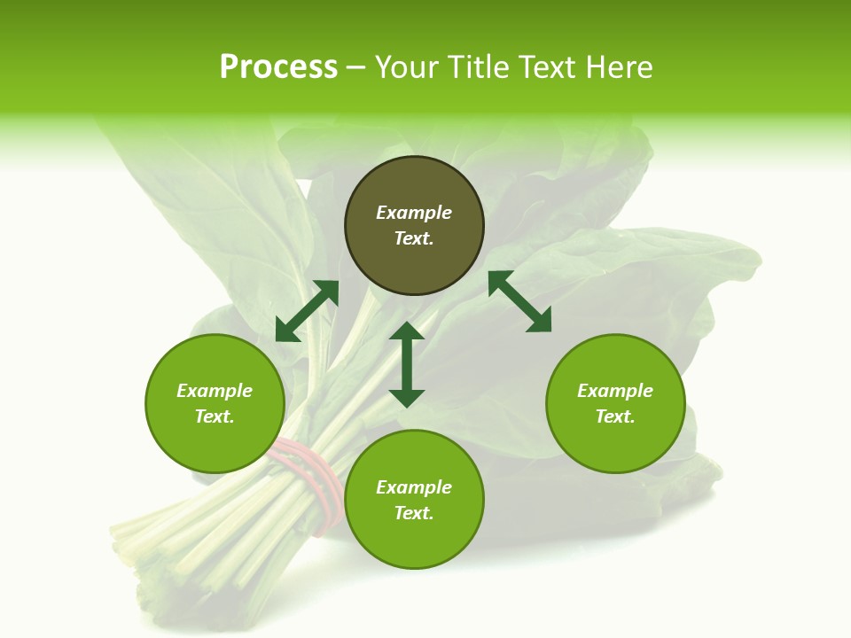 House Conditioner Unit PowerPoint Template