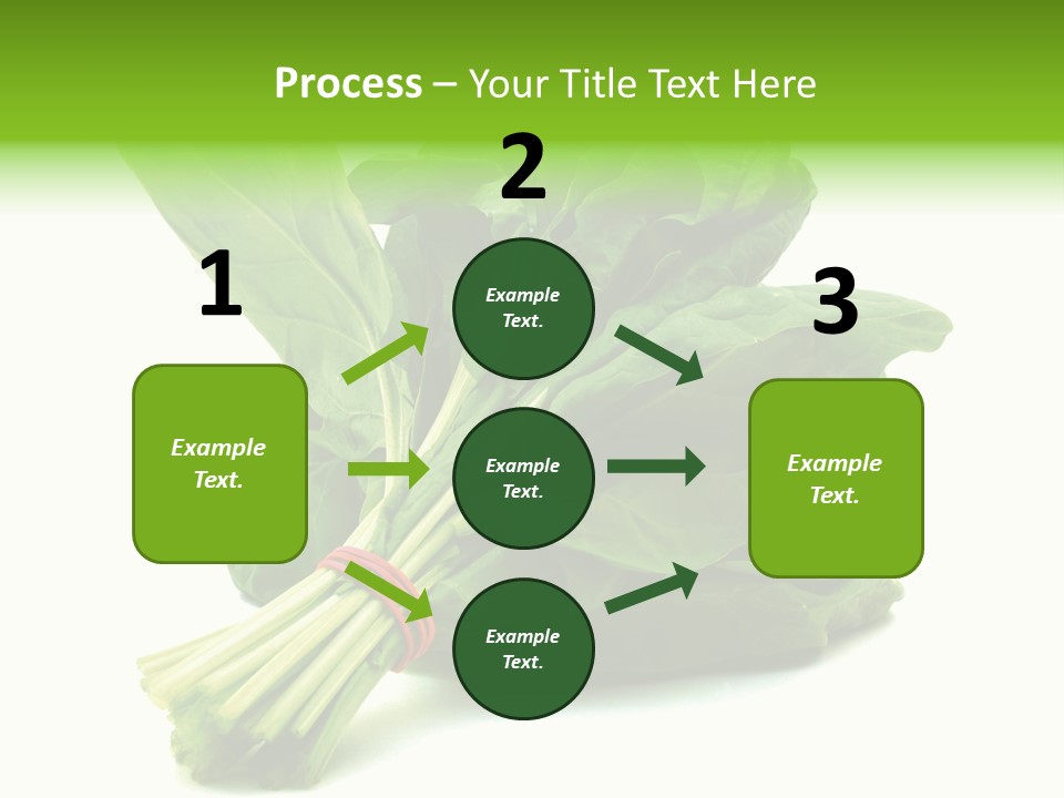 House Conditioner Unit PowerPoint Template
