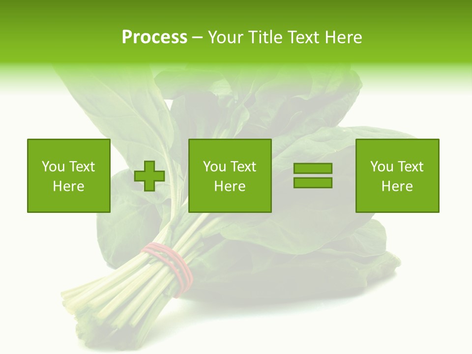 House Conditioner Unit PowerPoint Template