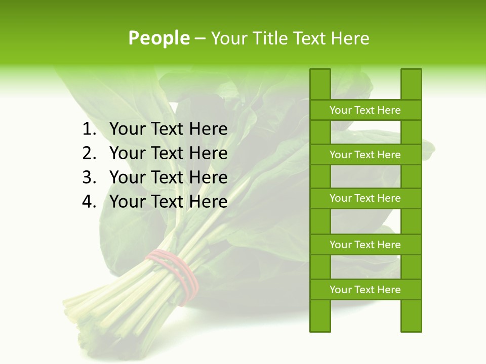 House Conditioner Unit PowerPoint Template
