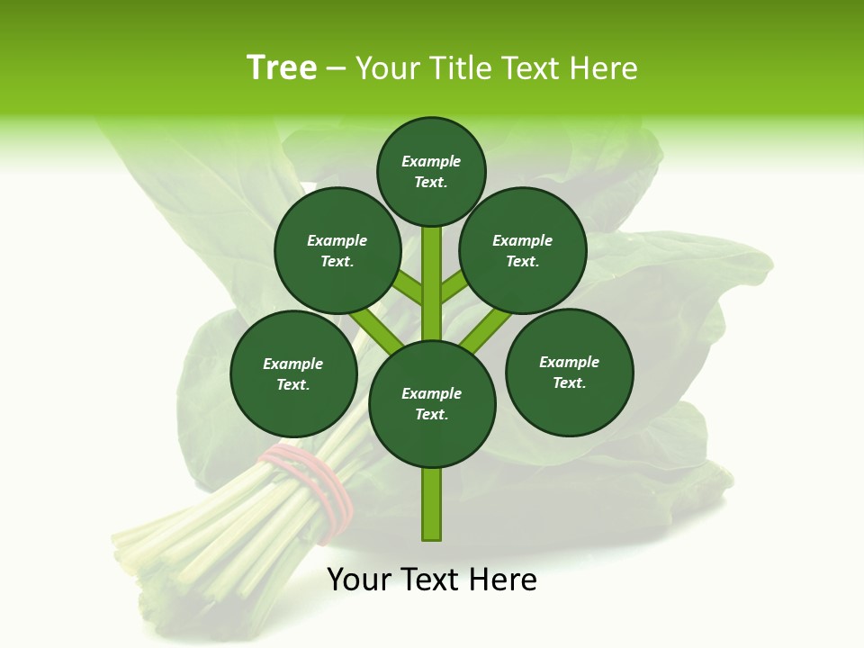 House Conditioner Unit PowerPoint Template