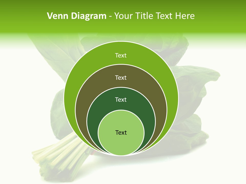 House Conditioner Unit PowerPoint Template