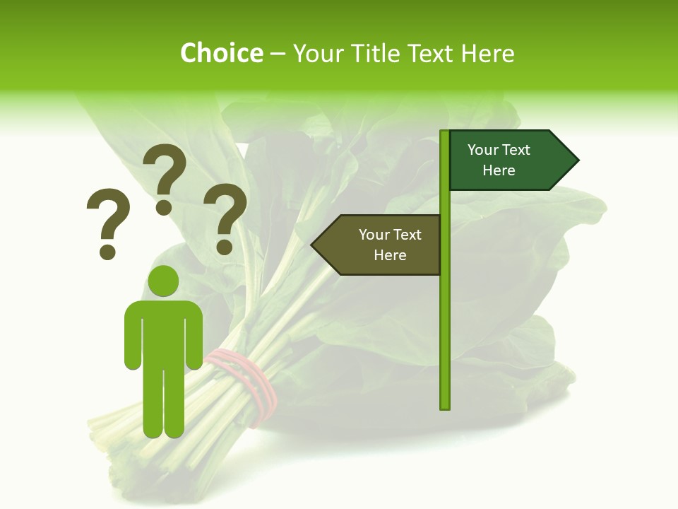House Conditioner Unit PowerPoint Template