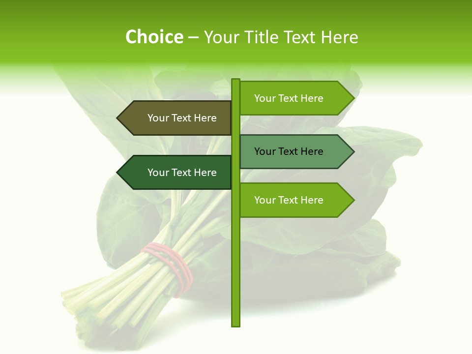 House Conditioner Unit PowerPoint Template