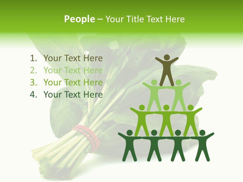 House Conditioner Unit PowerPoint Template