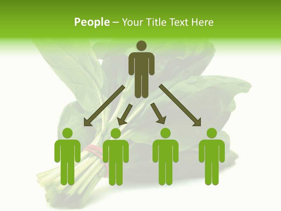 House Conditioner Unit PowerPoint Template