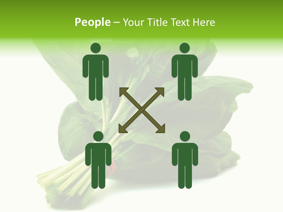 House Conditioner Unit PowerPoint Template