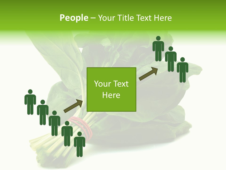 House Conditioner Unit PowerPoint Template