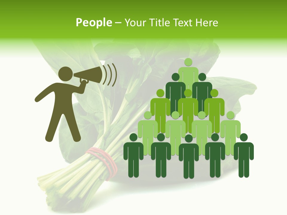 House Conditioner Unit PowerPoint Template