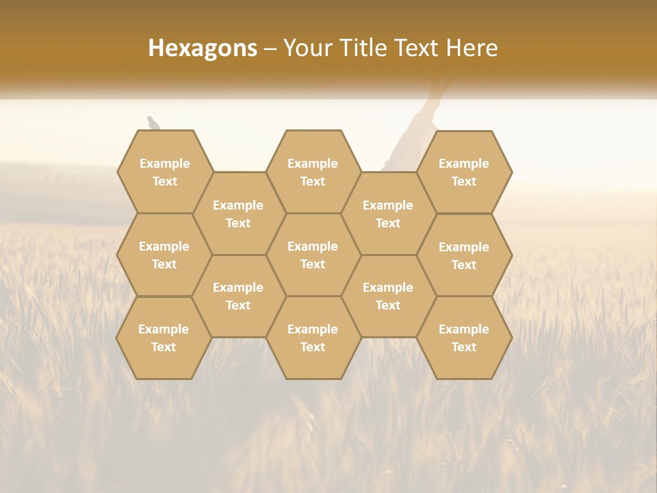 Climate Remote Supply PowerPoint Template