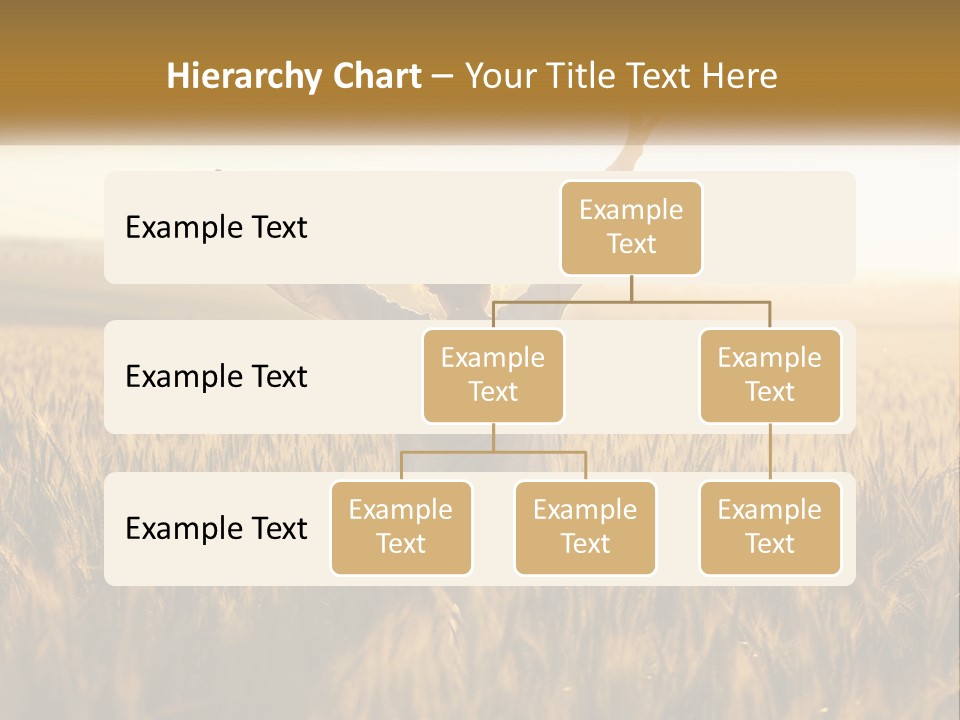 Climate Remote Supply PowerPoint Template