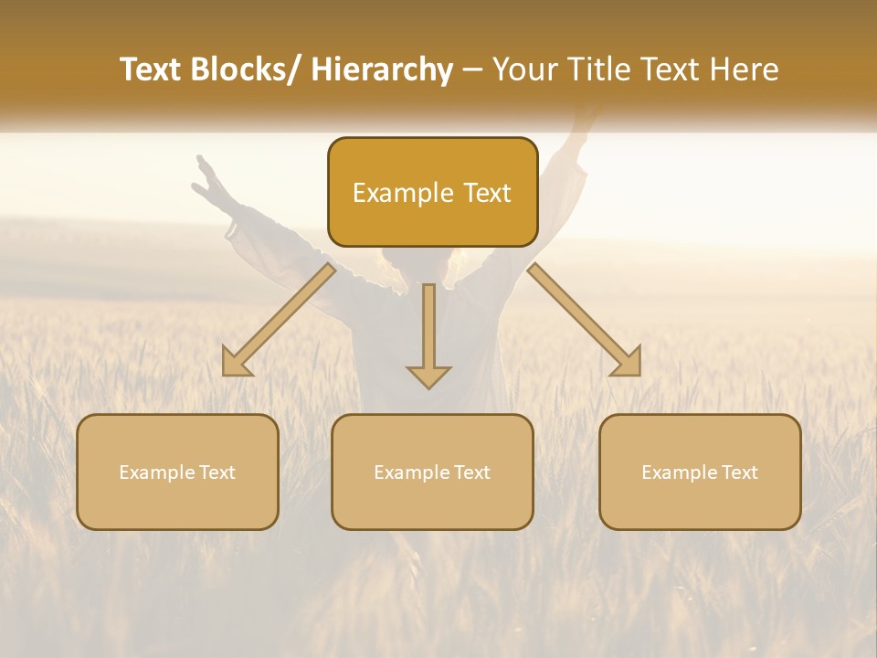 Climate Remote Supply PowerPoint Template