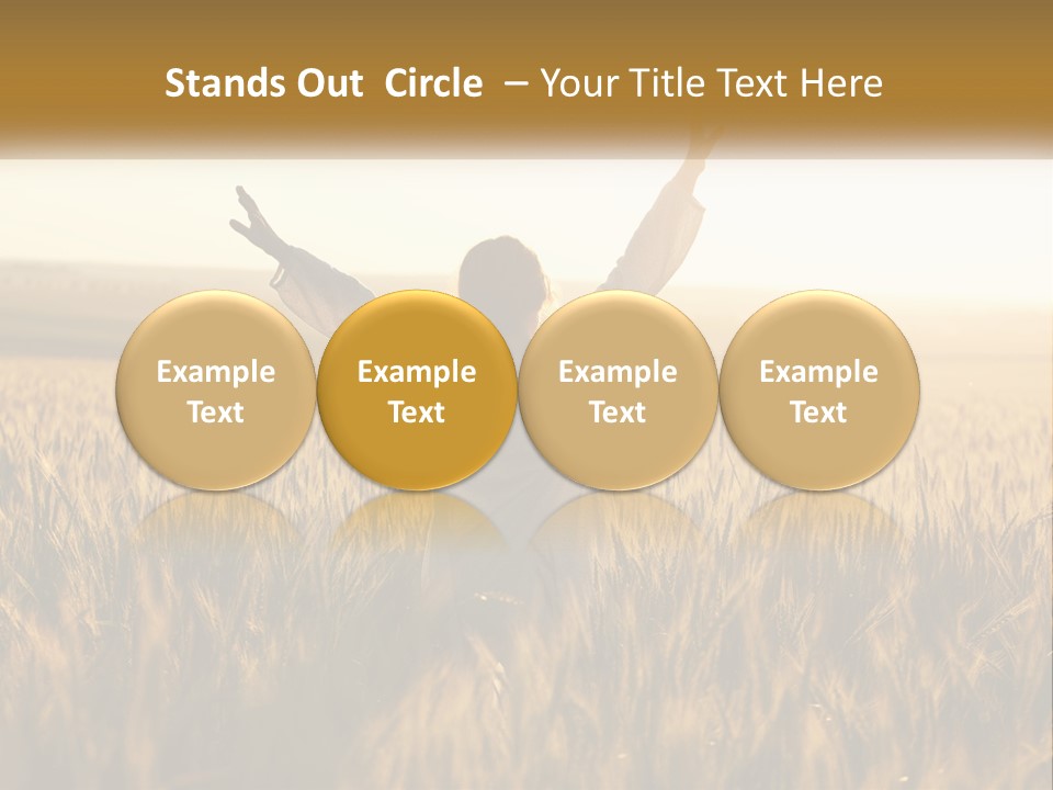 Climate Remote Supply PowerPoint Template