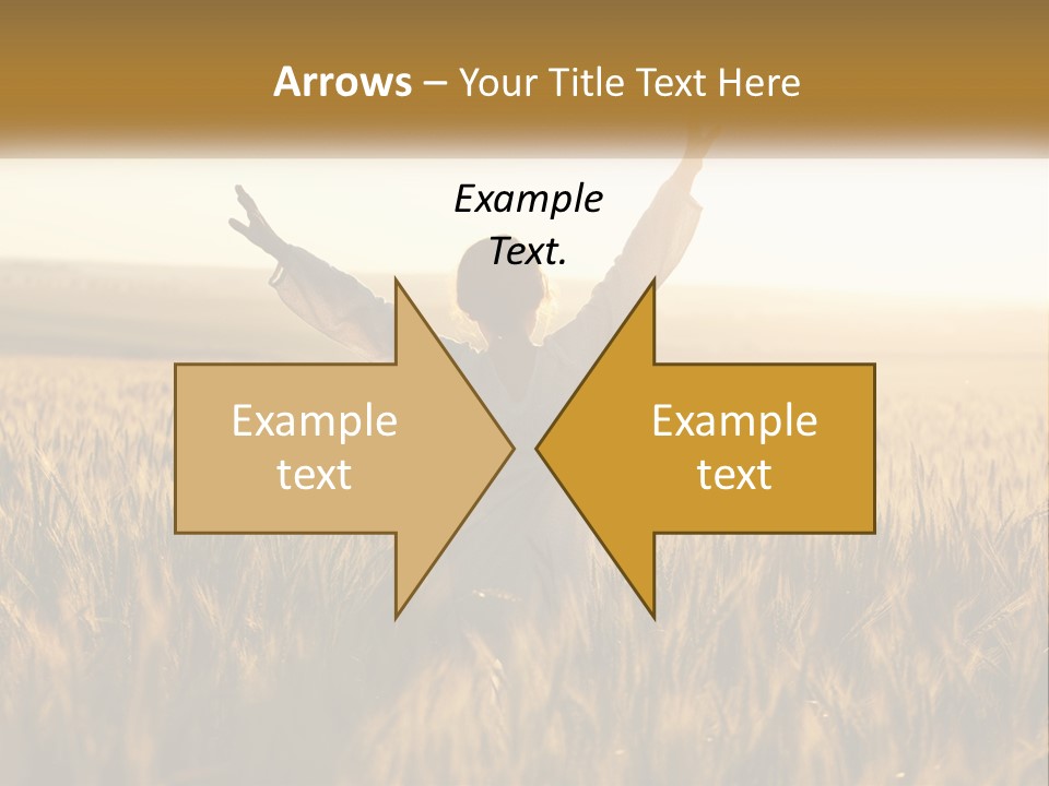 Climate Remote Supply PowerPoint Template