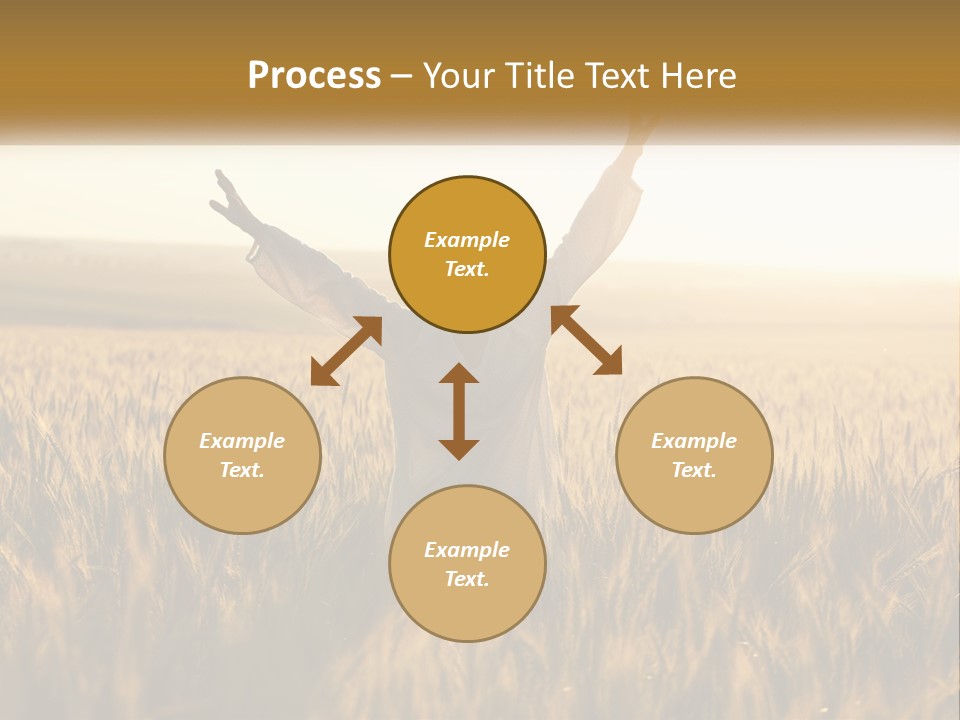 Climate Remote Supply PowerPoint Template