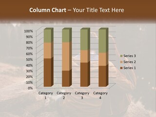 House Technology System PowerPoint Template