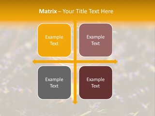 House Electricity Cool PowerPoint Template