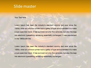 House Electricity Cool PowerPoint Template