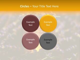 House Electricity Cool PowerPoint Template