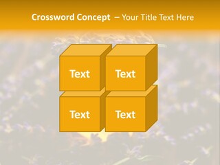 House Electricity Cool PowerPoint Template