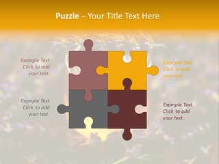 House Electricity Cool PowerPoint Template