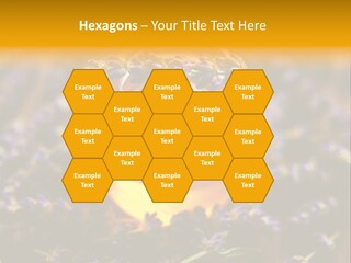 House Electricity Cool PowerPoint Template