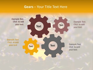 House Electricity Cool PowerPoint Template