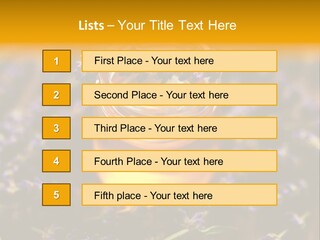 House Electricity Cool PowerPoint Template