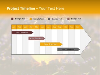 House Electricity Cool PowerPoint Template