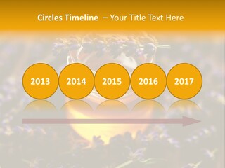 House Electricity Cool PowerPoint Template