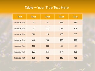 House Electricity Cool PowerPoint Template
